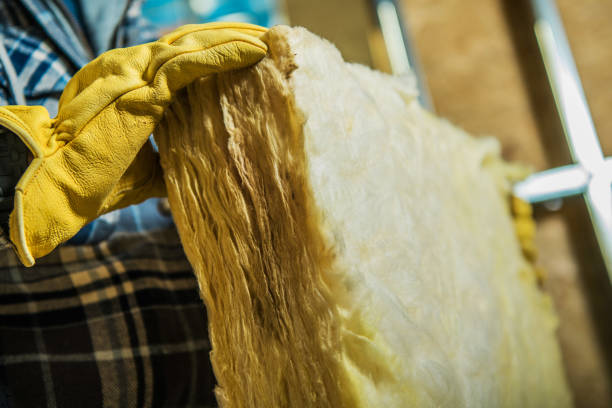 Best Energy Efficiency Insulation in Lake Riverside, CA